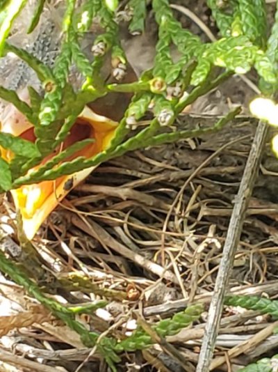 20220709_153921.jpg 20220709_153921.jpg