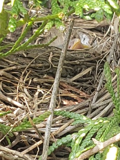 20220709_153929.jpg 20220709_153929.jpg