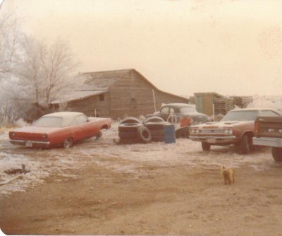 sport sat_0001.jpg sport sat_0001.jpg