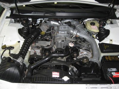 SC 042.jpg