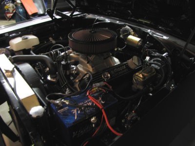 pic1.jpg