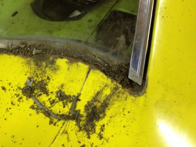 IMG_1586.jpg IMG_1586.jpg