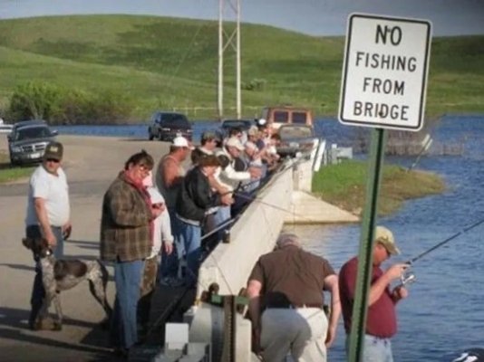 70e7ee16-fishing-its-a-sign.jpg