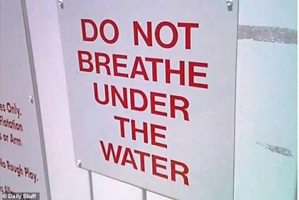 1661120684373.png