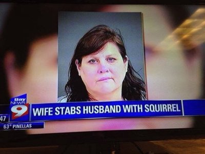 asquirrel.jpg