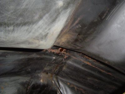 Undercoat 005.jpg