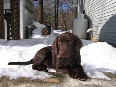 IMG_2089.jpg IMG_2089.jpg