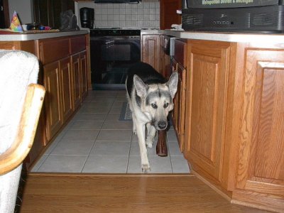 IM001200.JPG IM001200.JPG