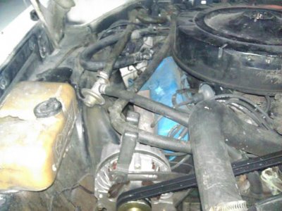 heater hose.jpg