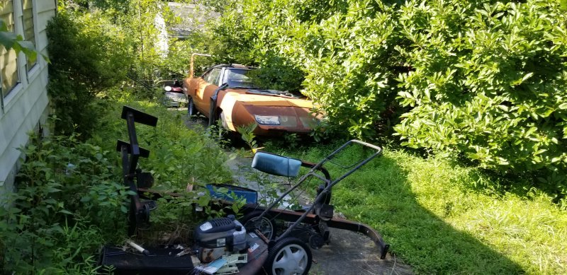 20200808_164051.jpg 20200808_164051.jpg