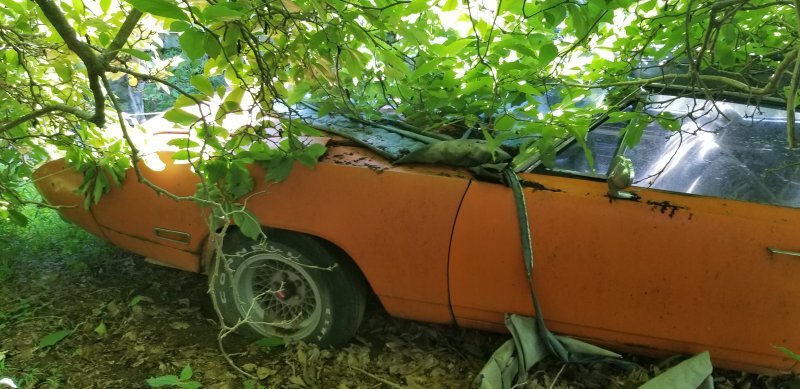 20200808_163441.jpg 20200808_163441.jpg