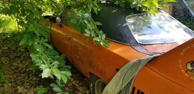 20200808_163421.jpg 20200808_163421.jpg