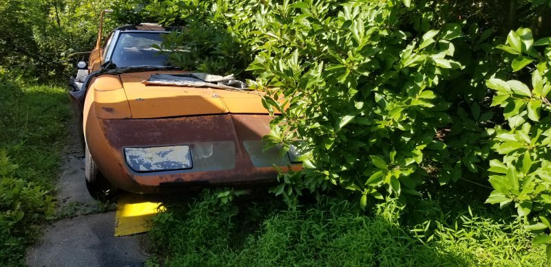 20200808_163228.jpg 20200808_163228.jpg