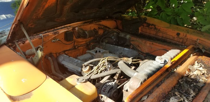 20200808_163252.jpg 20200808_163252.jpg