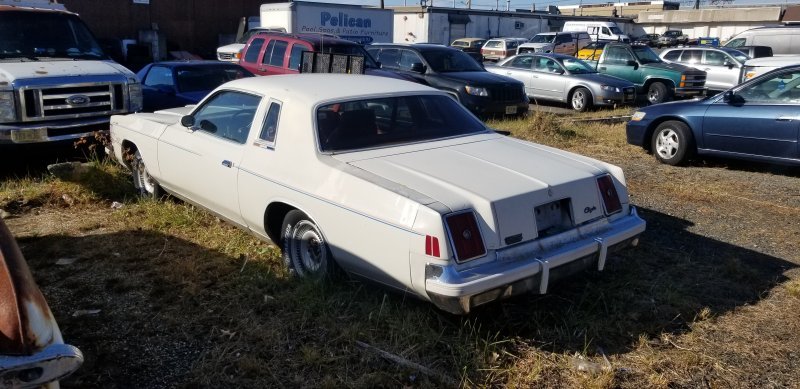 20211214_121143.jpg 20211214_121143.jpg