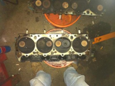 image(7).jpg