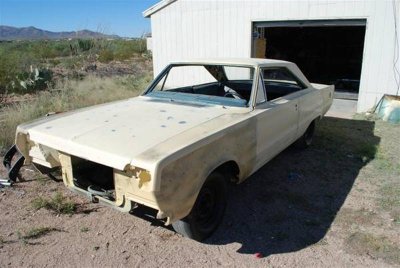 ply1 (Medium).jpg ply1 (Medium).jpg