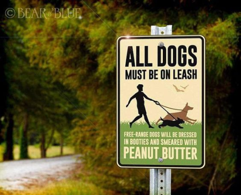 1664529594190.png 1664529594190.png