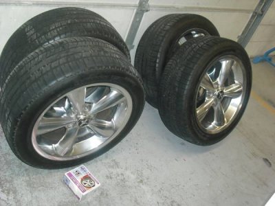 18 Inch mustang.jpg 18 Inch mustang.jpg