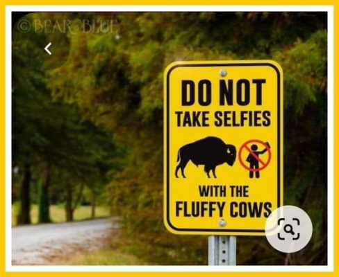 1664901205701.png 1664901205701.png