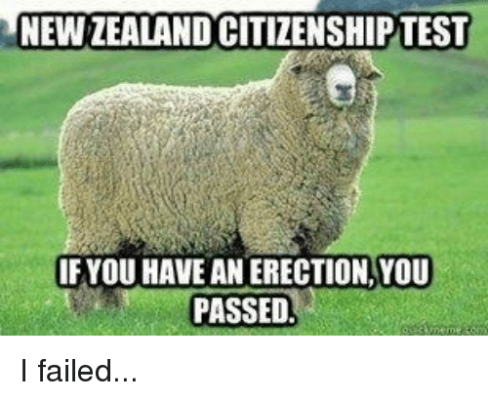 new-zealand-citizenship-test-ifyou-have-an-erection-you-passed-i-29467138.png