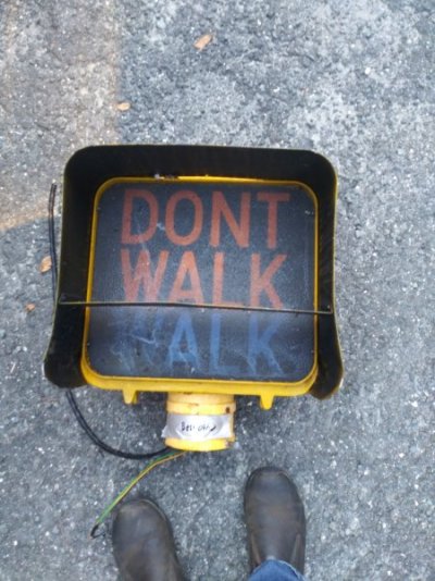 IMG_20221016_074600_01.jpg IMG_20221016_074600_01.jpg