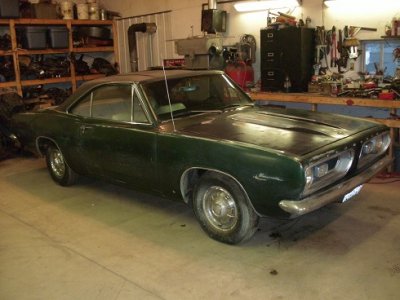 cuda 002.JPG cuda 002.JPG