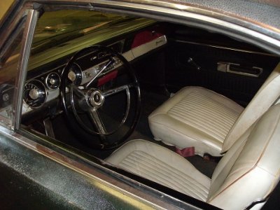 cuda 004.JPG cuda 004.JPG