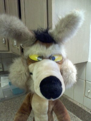 wile31c.jpg wile31c.jpg