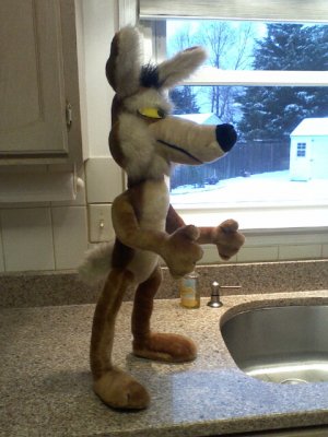 wile31d.jpg wile31d.jpg