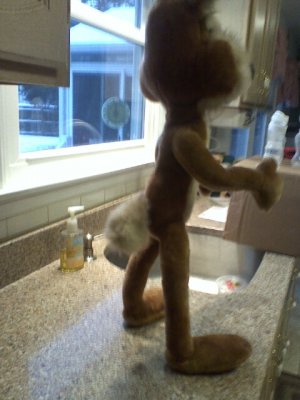 wile31e.jpg wile31e.jpg