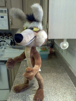 wle31b.jpg wle31b.jpg