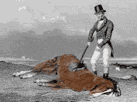 beating-dead-horse-gif-2.gif beating-dead-horse-gif-2.gif