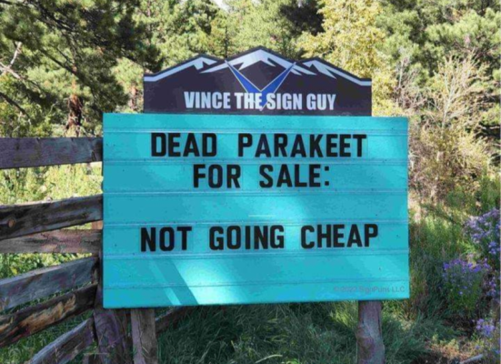 image000000(1).png image000000(1).png