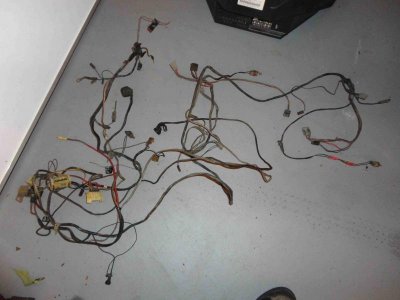 harness05.jpg harness05.jpg