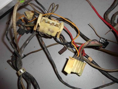 harness06.jpg harness06.jpg
