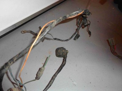 harness07.jpg harness07.jpg