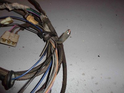 harness10.jpg harness10.jpg