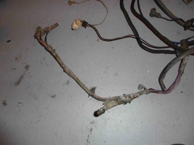 harness11.jpg harness11.jpg