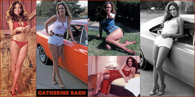 1668726993927.png 1668726993927.png