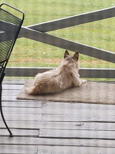 242553138_4695089323837252_8837584942412898706_n.jpg 242553138_4695089323837252_8837584942412898706_n.jpg