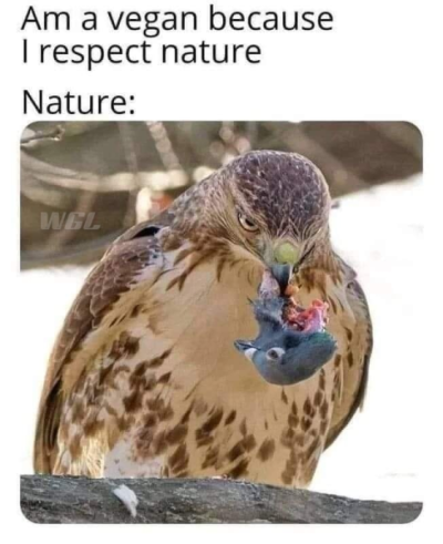 1669653348429.png