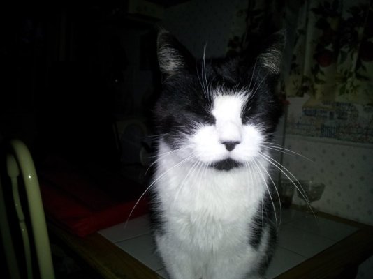 2013-03-27 06.41.07.jpg