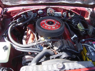 Dodge Charger 015.jpg