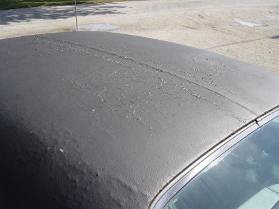 Dodge Charger 021.jpg