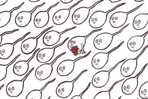 sperm.jpg