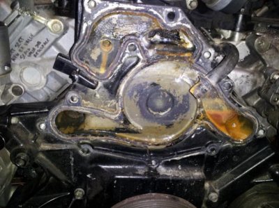 sm_wp1.jpg sm_wp1.jpg