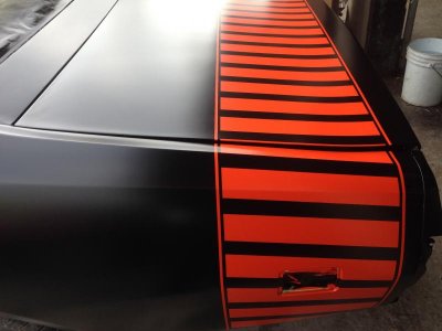 IMG_1393.jpg IMG_1393.jpg