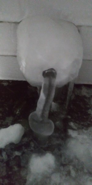 20221220_202929.jpg