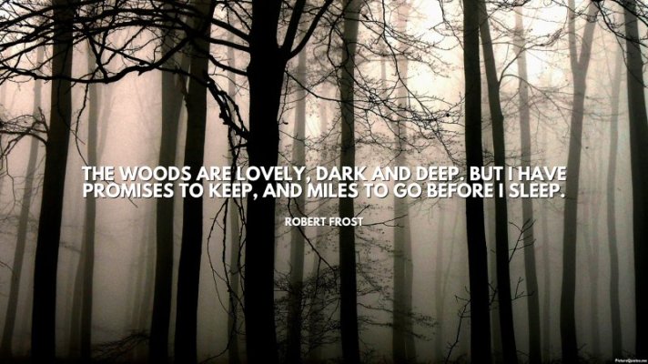 robert_frost_quote_the_woods_are_lovely_dark_and_deep_but_i_have_promises_to_keep_and_miles_to...jpg